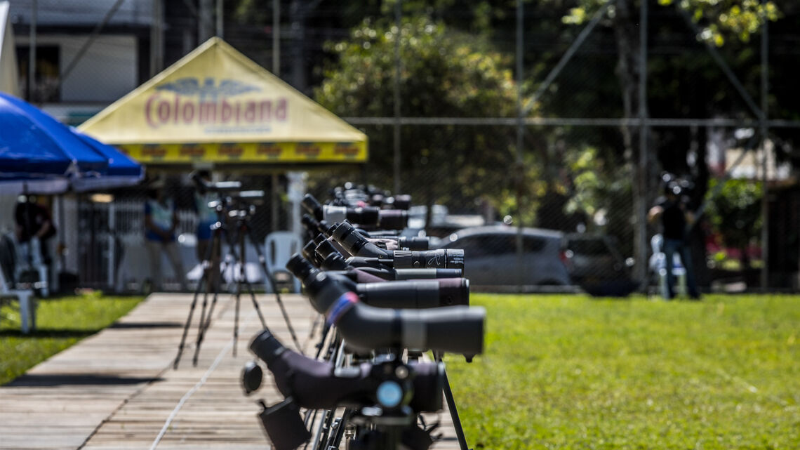 General shots of scopes at Medellin 2022