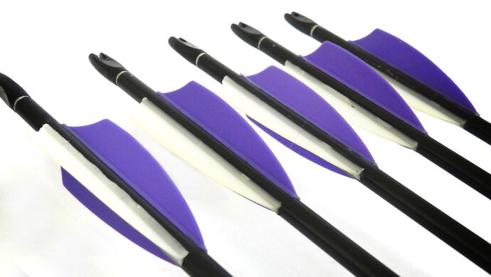 Details about   Letszhu Arrows Vanes 4 Inch Plastic Feather Fletching for DIY Archery Arrows ... 